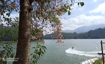 Madupetty Dam Pedal Boating Centre, Munnar