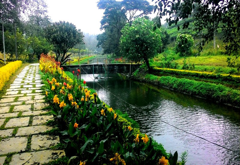 Hydel Park Munnar(Blossom Park) 